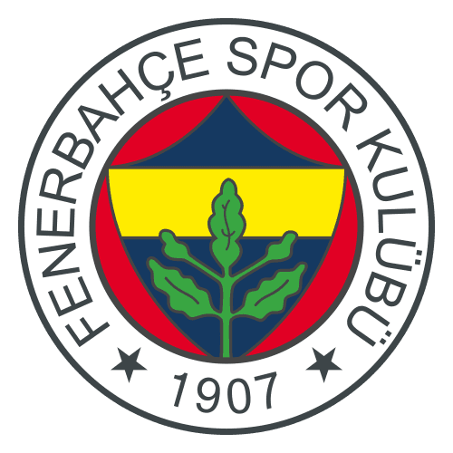 Fenerbahce — soccer