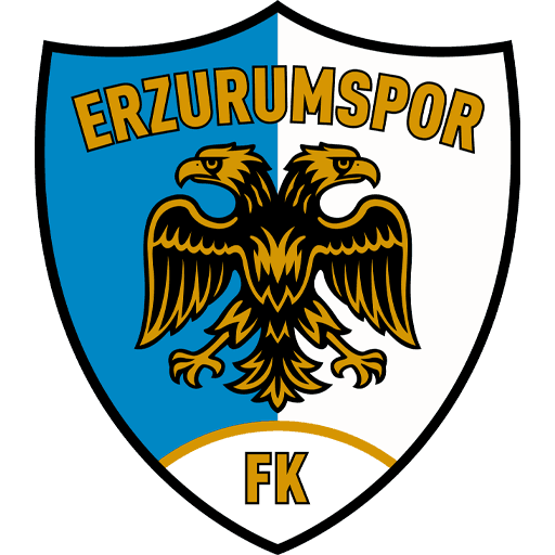 Erzurumspor FK — soccer